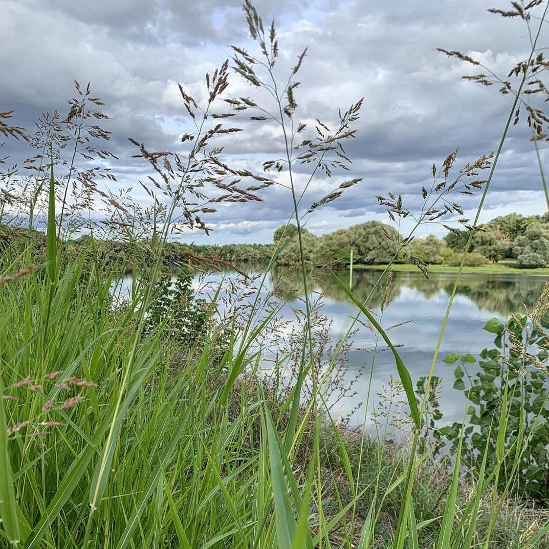 Les Annexes Villa Verdun-sur-le-Doubs Eksteriør bilde