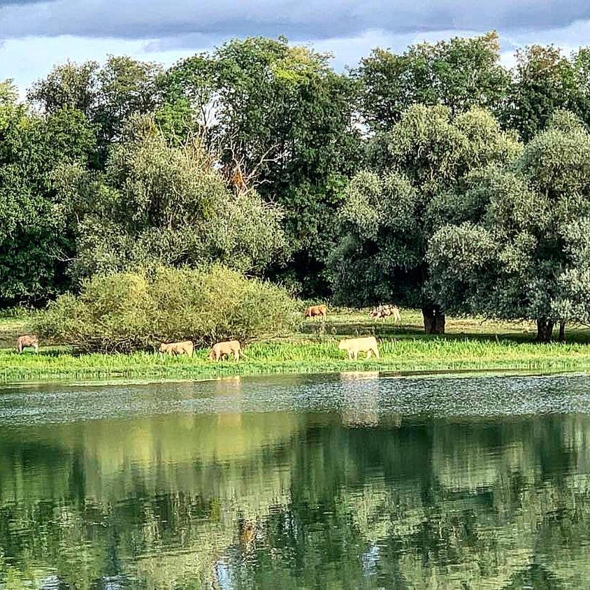 Les Annexes Villa Verdun-sur-le-Doubs Eksteriør bilde